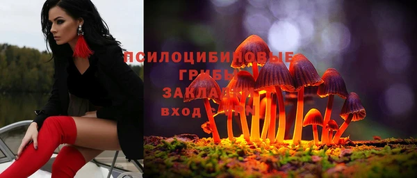гидра Верея