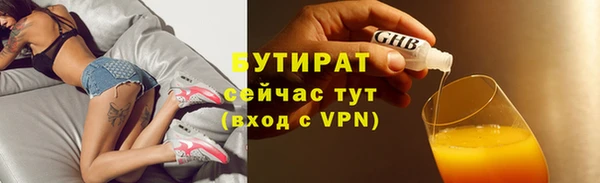 гашик Тайга