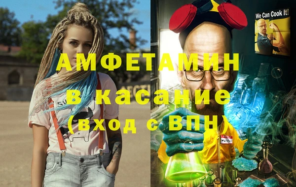 гашик Тайга