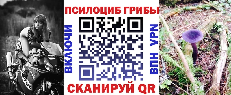 Галлюциногенные грибы Psilocybine cubensis  darknet Telegram  Славянск-на-Кубани 